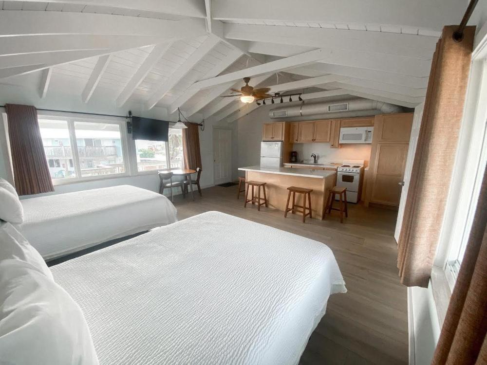 Large Studio Apartment - Queen Beds interior